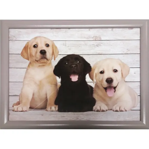 Kniekussen dienblad met 3 honden